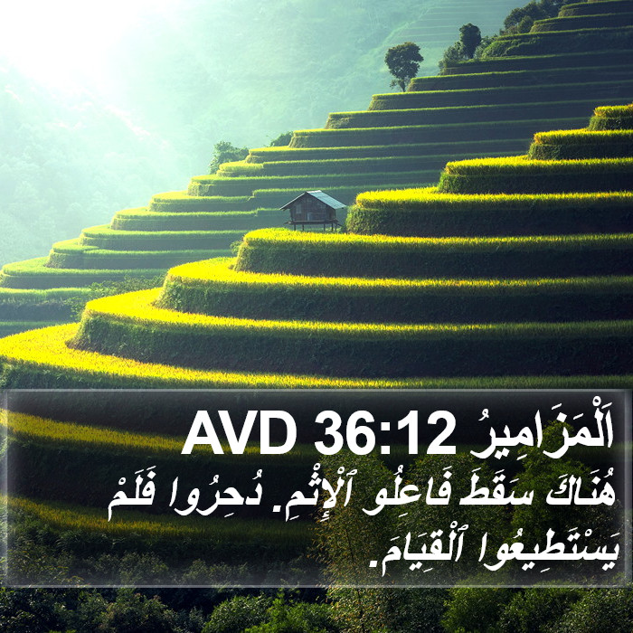 اَلْمَزَامِيرُ 36:12 AVD Bible Study