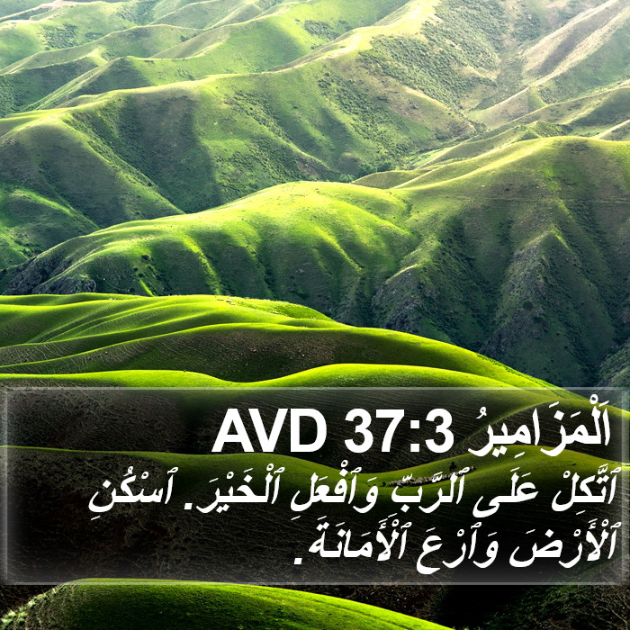 اَلْمَزَامِيرُ 37:3 AVD Bible Study
