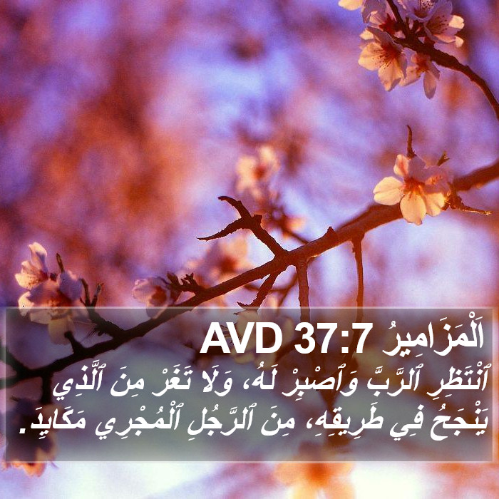 اَلْمَزَامِيرُ 37:7 AVD Bible Study