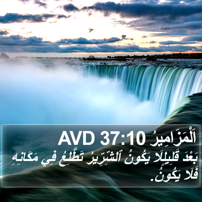 اَلْمَزَامِيرُ 37:10 AVD Bible Study