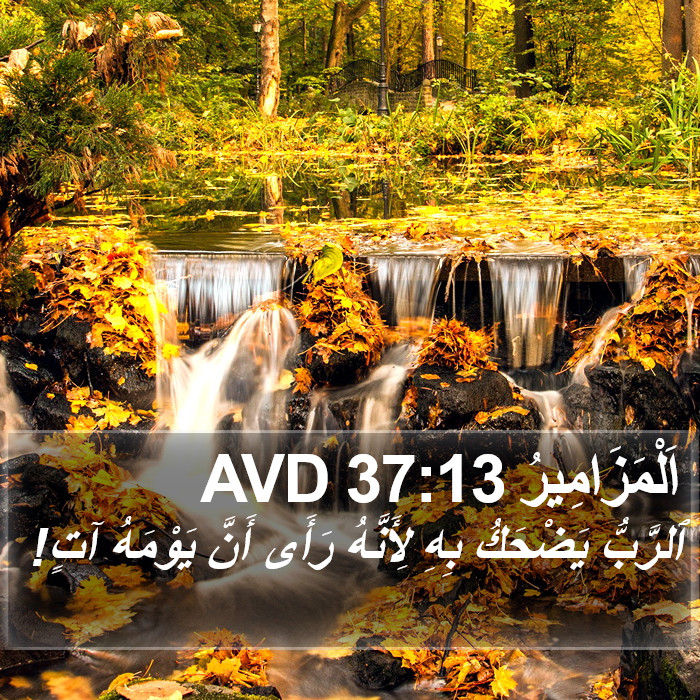 اَلْمَزَامِيرُ 37:13 AVD Bible Study