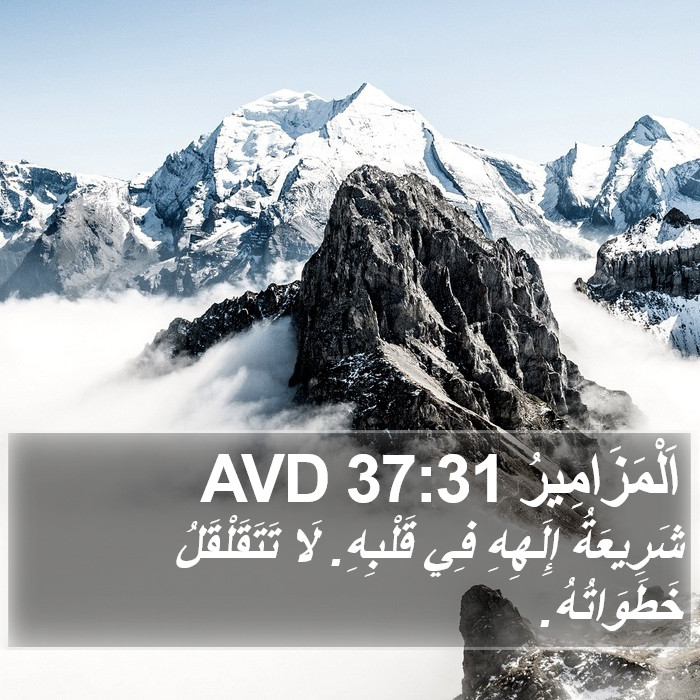 اَلْمَزَامِيرُ 37:31 AVD Bible Study