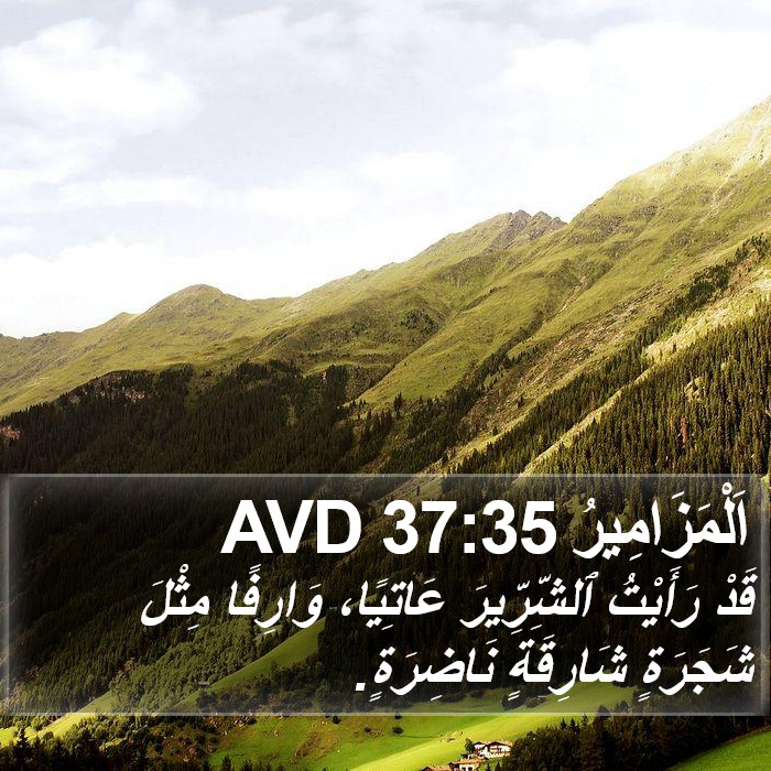 اَلْمَزَامِيرُ 37:35 AVD Bible Study