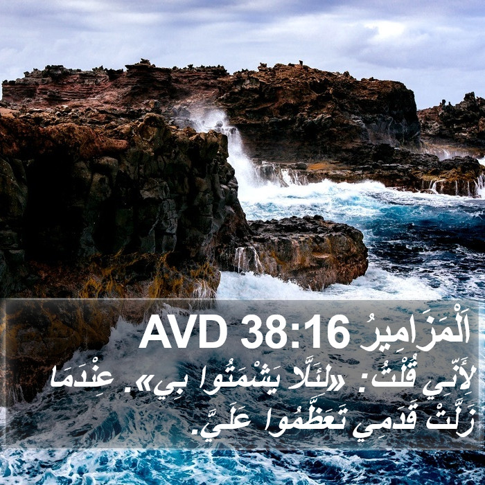 اَلْمَزَامِيرُ 38:16 AVD Bible Study