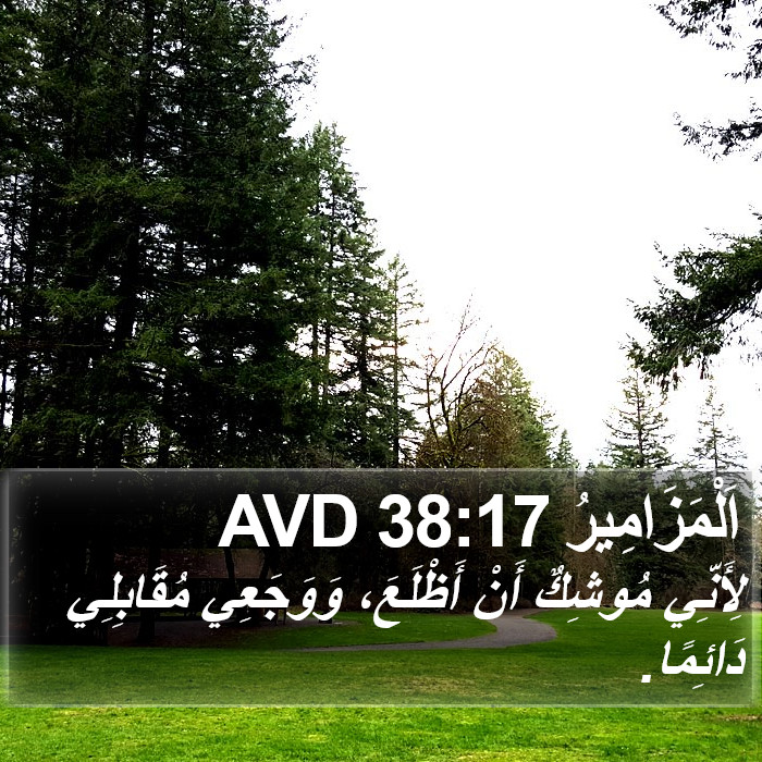 اَلْمَزَامِيرُ 38:17 AVD Bible Study