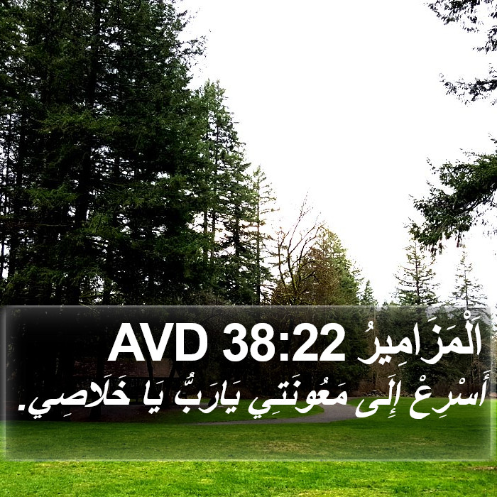 اَلْمَزَامِيرُ 38:22 AVD Bible Study
