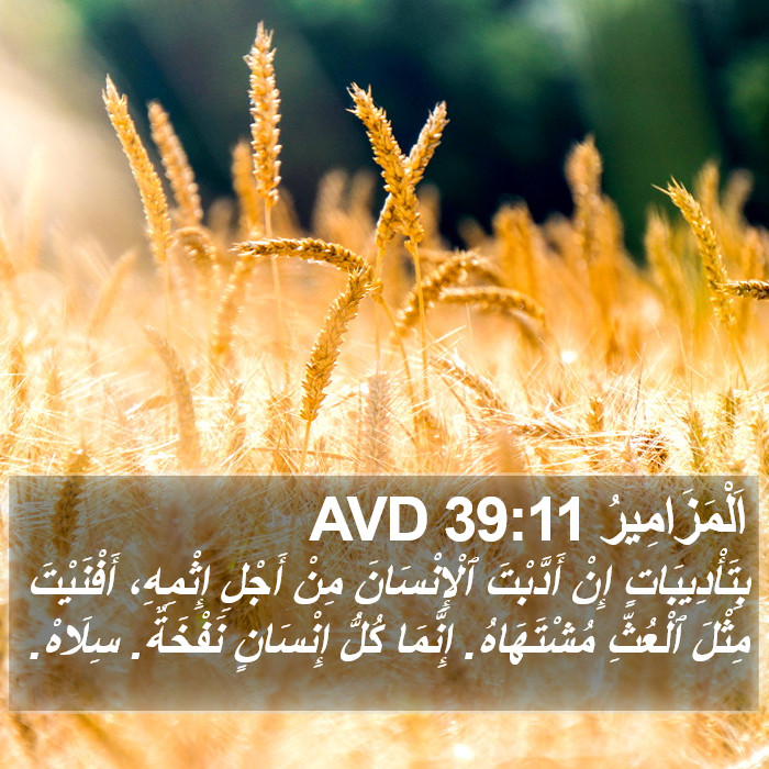 اَلْمَزَامِيرُ 39:11 AVD Bible Study