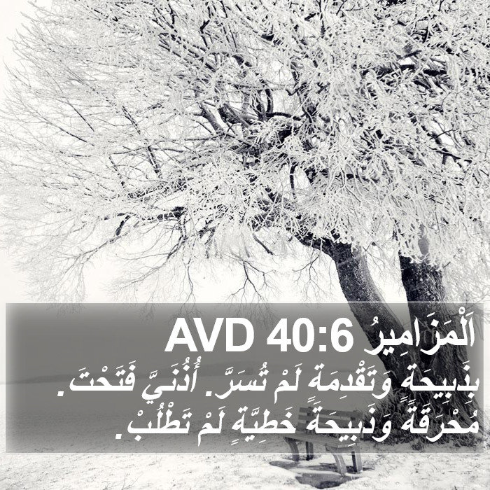 اَلْمَزَامِيرُ 40:6 AVD Bible Study
