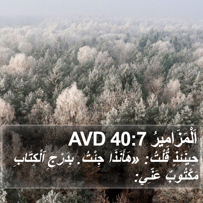 اَلْمَزَامِيرُ 40:7 AVD Bible Study