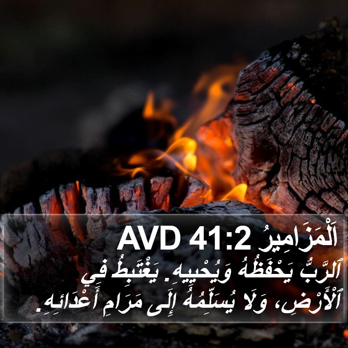 اَلْمَزَامِيرُ 41:2 AVD Bible Study