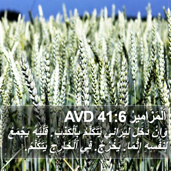 اَلْمَزَامِيرُ 41:6 AVD Bible Study