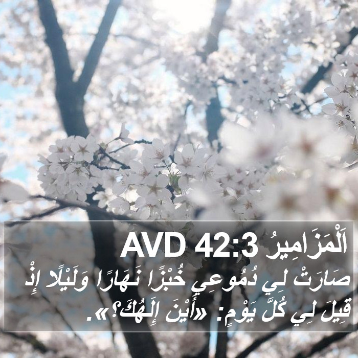 اَلْمَزَامِيرُ 42:3 AVD Bible Study
