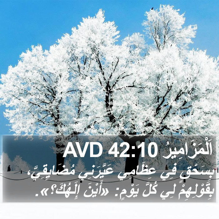 اَلْمَزَامِيرُ 42:10 AVD Bible Study