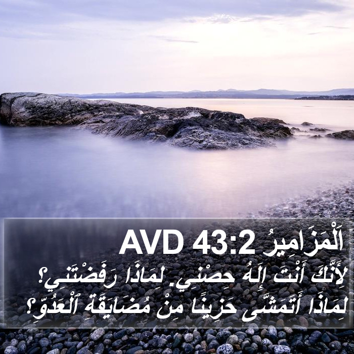 اَلْمَزَامِيرُ 43:2 AVD Bible Study