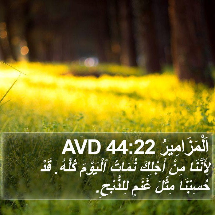 اَلْمَزَامِيرُ 44:22 AVD Bible Study