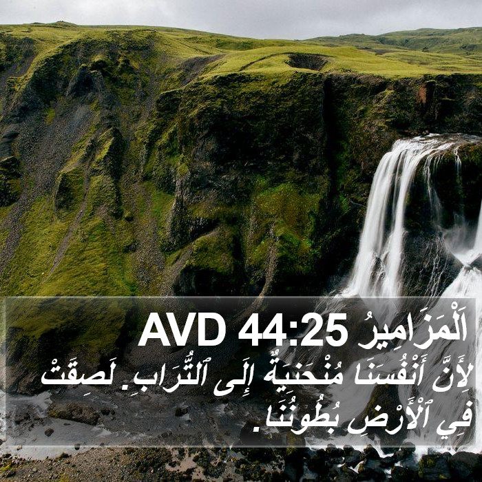 اَلْمَزَامِيرُ 44:25 AVD Bible Study