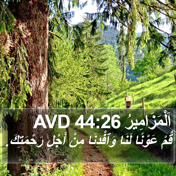 اَلْمَزَامِيرُ 44:26 AVD Bible Study