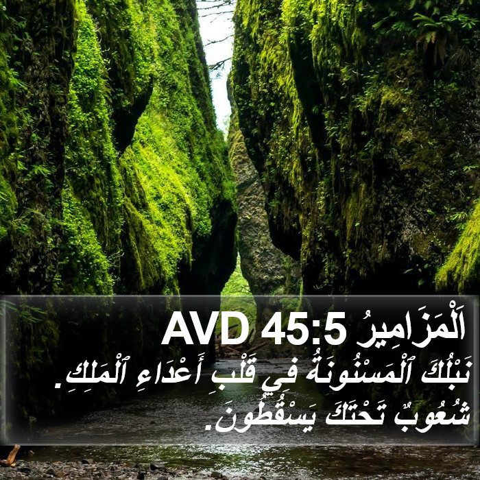 اَلْمَزَامِيرُ 45:5 AVD Bible Study