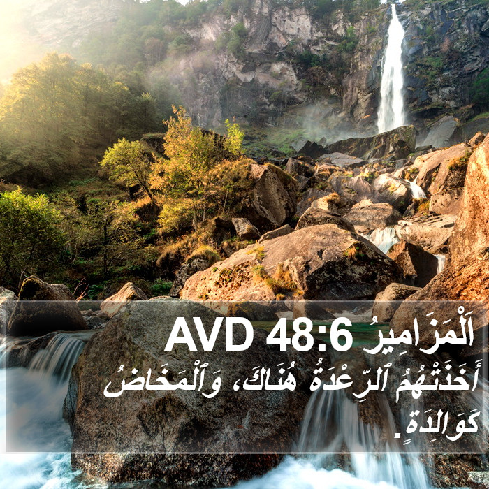 اَلْمَزَامِيرُ 48:6 AVD Bible Study