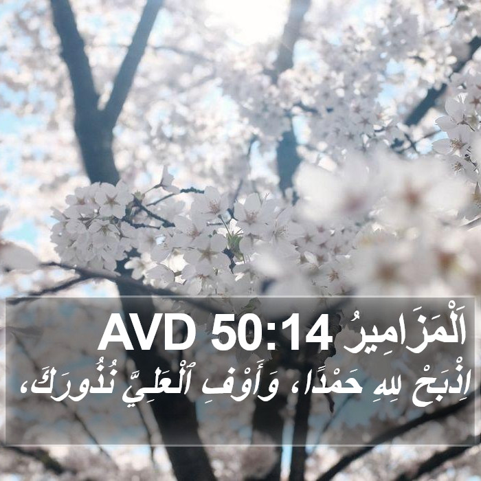 اَلْمَزَامِيرُ 50:14 AVD Bible Study