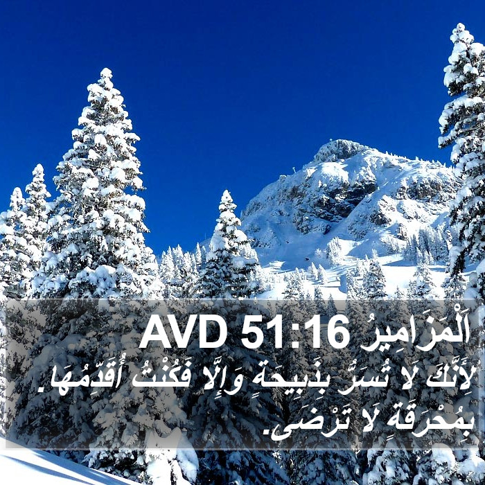 اَلْمَزَامِيرُ 51:16 AVD Bible Study
