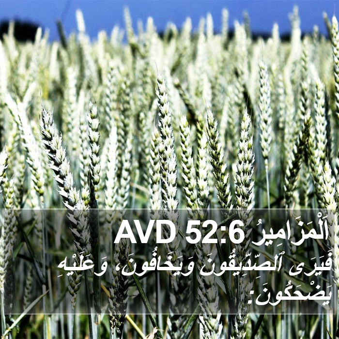 اَلْمَزَامِيرُ 52:6 AVD Bible Study