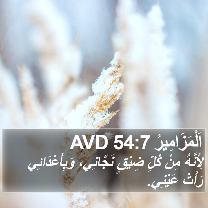 اَلْمَزَامِيرُ 54:7 AVD Bible Study