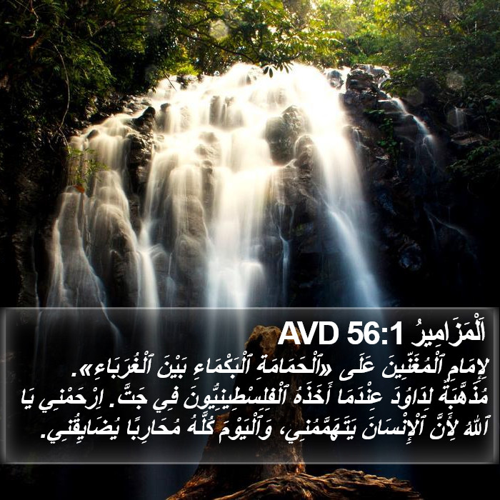 اَلْمَزَامِيرُ 56:1 AVD Bible Study