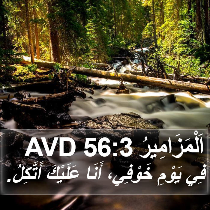 اَلْمَزَامِيرُ 56:3 AVD Bible Study