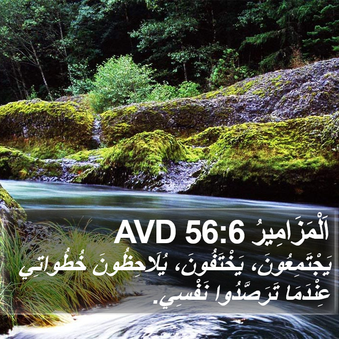 اَلْمَزَامِيرُ 56:6 AVD Bible Study