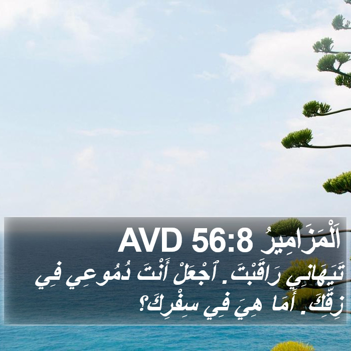 اَلْمَزَامِيرُ 56:8 AVD Bible Study