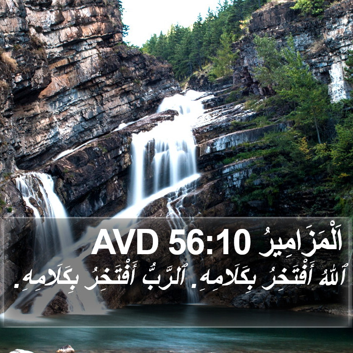 اَلْمَزَامِيرُ 56:10 AVD Bible Study