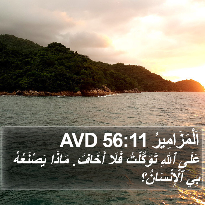 اَلْمَزَامِيرُ 56:11 AVD Bible Study