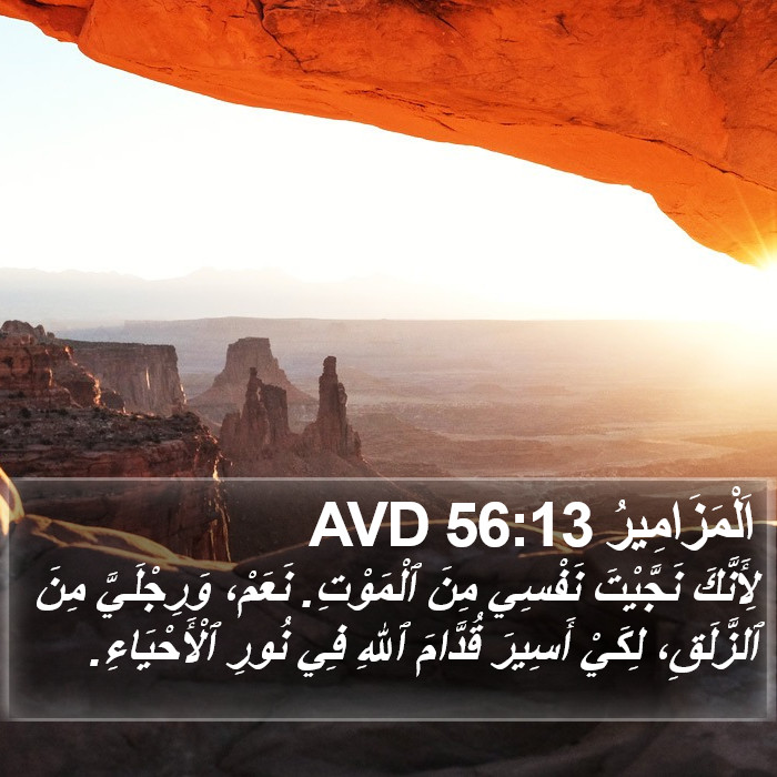 اَلْمَزَامِيرُ 56:13 AVD Bible Study