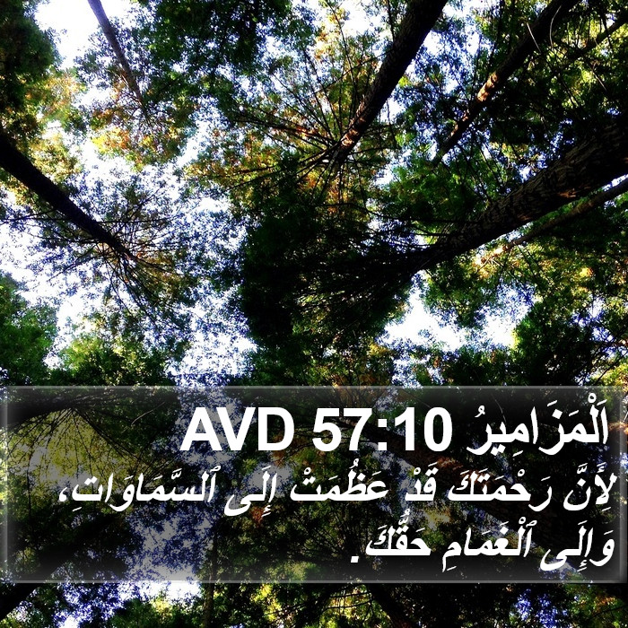 اَلْمَزَامِيرُ 57:10 AVD Bible Study