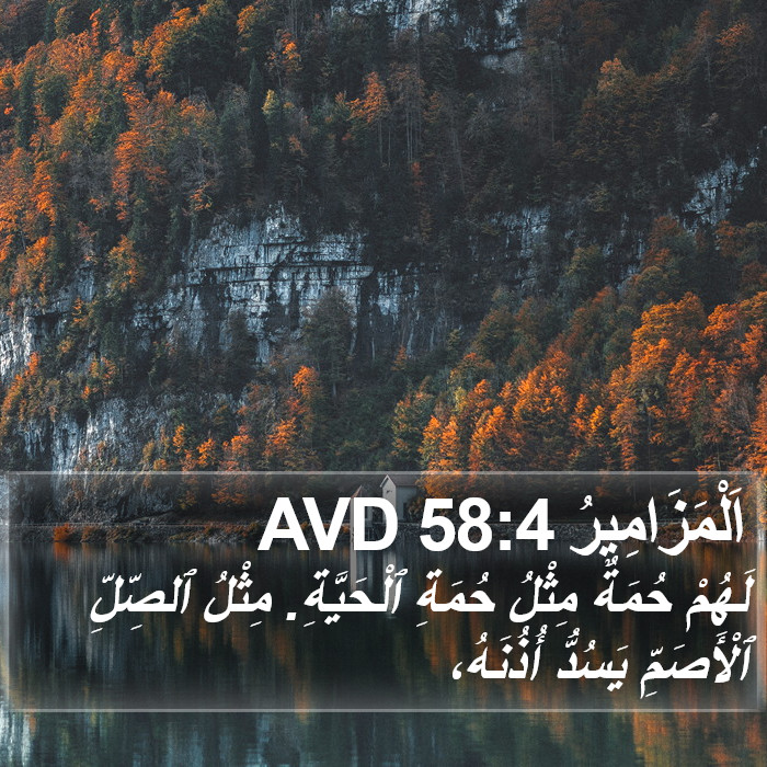 اَلْمَزَامِيرُ 58:4 AVD Bible Study