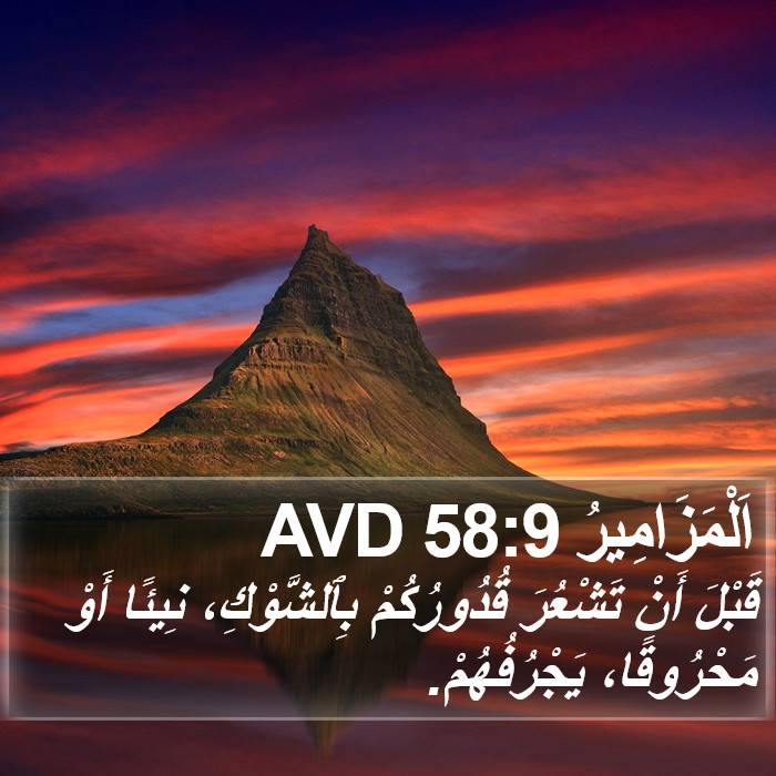 اَلْمَزَامِيرُ 58:9 AVD Bible Study