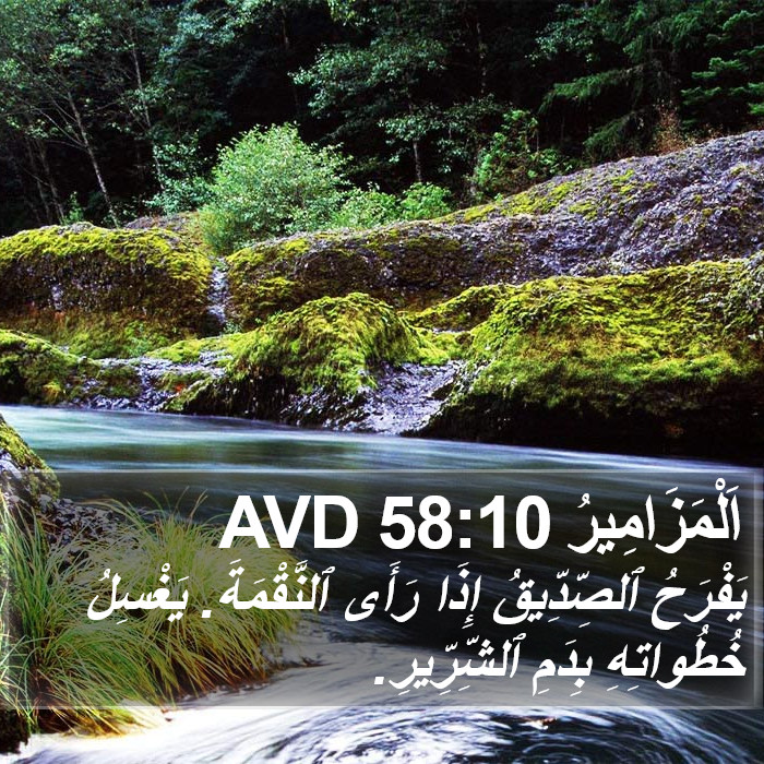 اَلْمَزَامِيرُ 58:10 AVD Bible Study