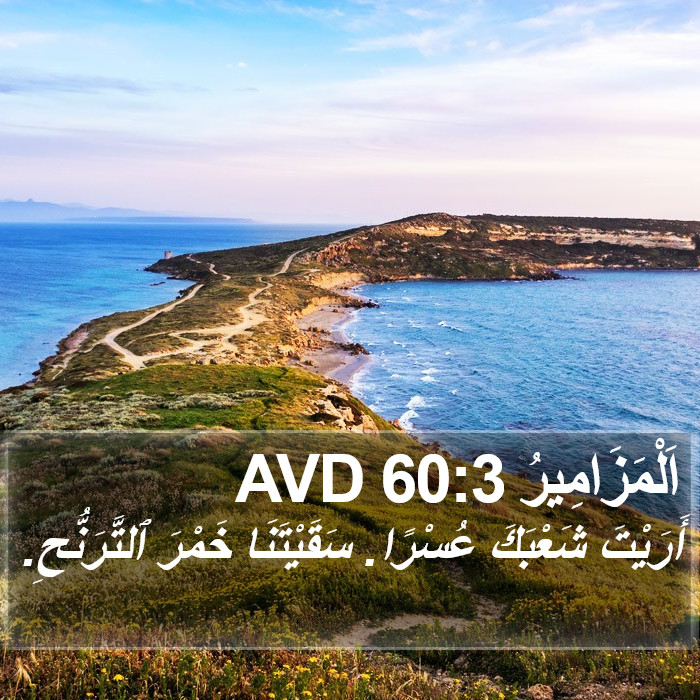 اَلْمَزَامِيرُ 60:3 AVD Bible Study