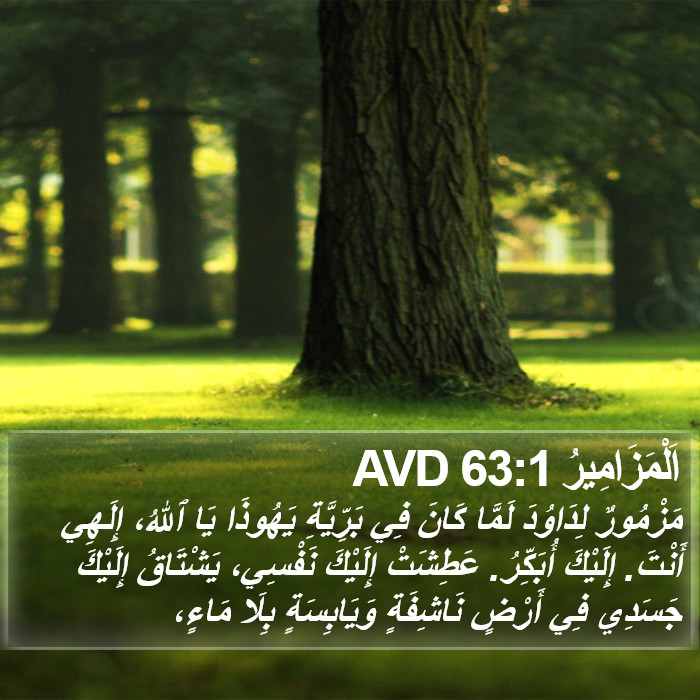 اَلْمَزَامِيرُ 63:1 AVD Bible Study