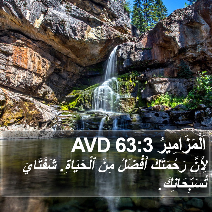 اَلْمَزَامِيرُ 63:3 AVD Bible Study