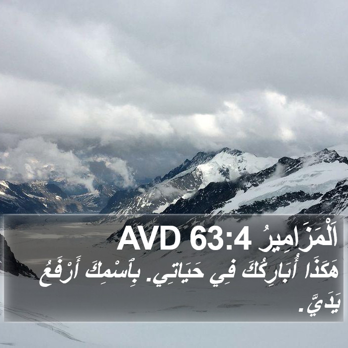 اَلْمَزَامِيرُ 63:4 AVD Bible Study