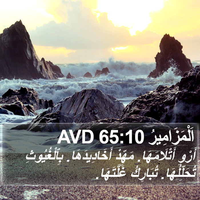 اَلْمَزَامِيرُ 65:10 AVD Bible Study