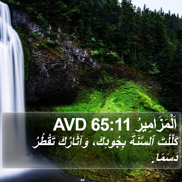 اَلْمَزَامِيرُ 65:11 AVD Bible Study