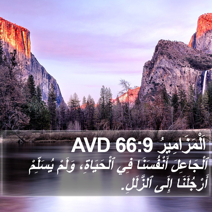 اَلْمَزَامِيرُ 66:9 AVD Bible Study