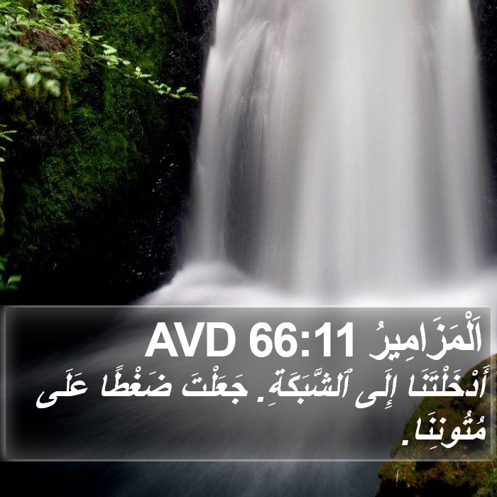 اَلْمَزَامِيرُ 66:11 AVD Bible Study