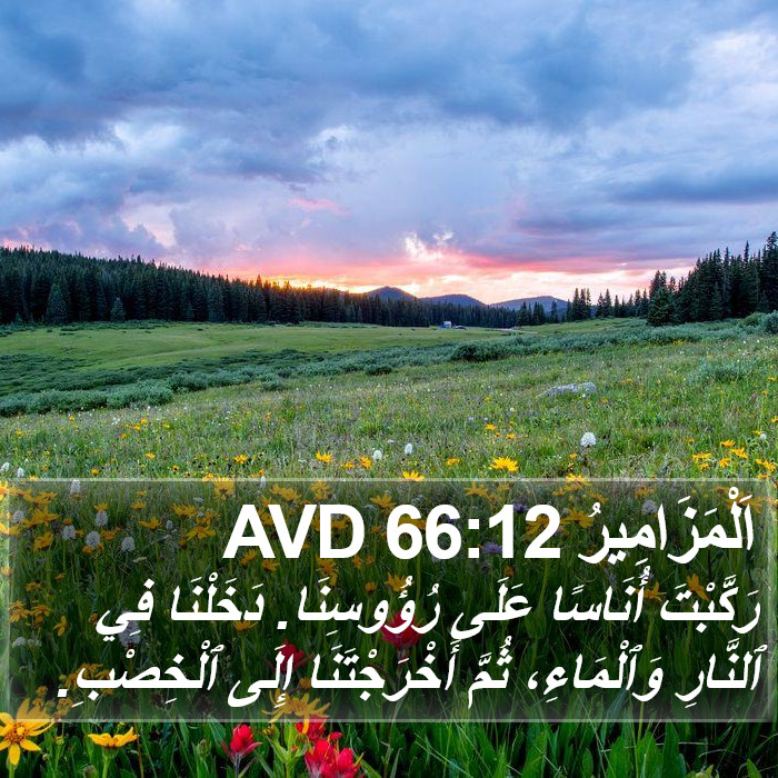 اَلْمَزَامِيرُ 66:12 AVD Bible Study