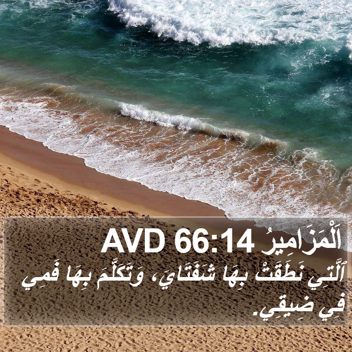 اَلْمَزَامِيرُ 66:14 AVD Bible Study