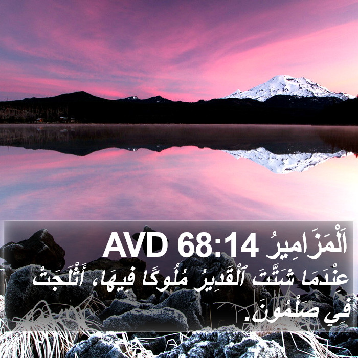 اَلْمَزَامِيرُ 68:14 AVD Bible Study