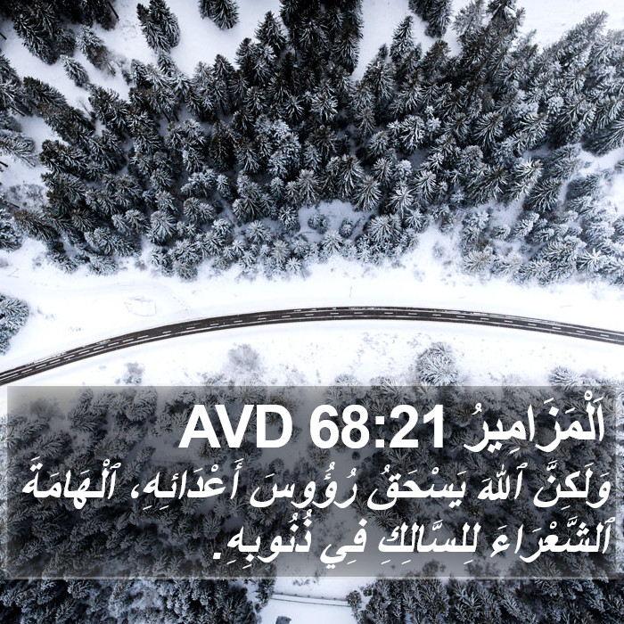 اَلْمَزَامِيرُ 68:21 AVD Bible Study